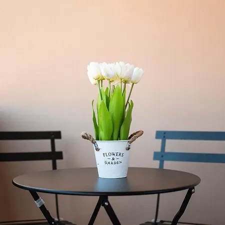 Casa Matilde - San Pietro